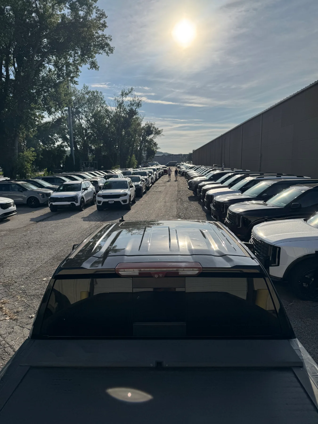 Hail Damaged Fleet